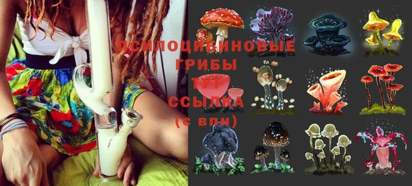 винт Няндома
