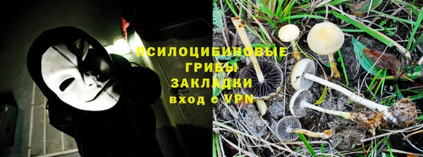 дурь Нягань