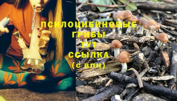 apvp Новокубанск