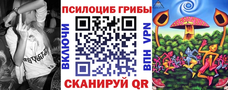 Галлюциногенные грибы Cubensis  где продают   Муравленко 